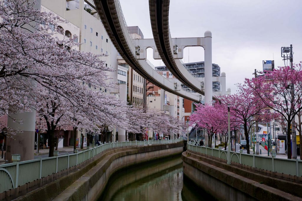 千葉栄町　ソープランド街　ベガスの近く　葭川　桜