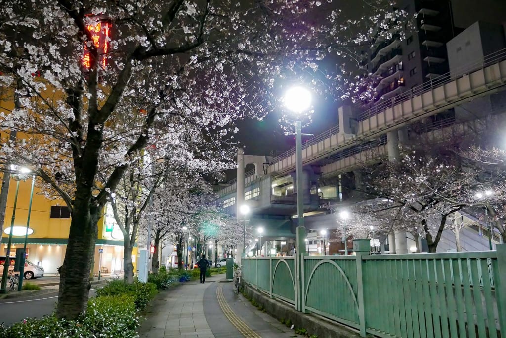 千葉栄町　ソープランド街　ベガスの近く　葭川　桜