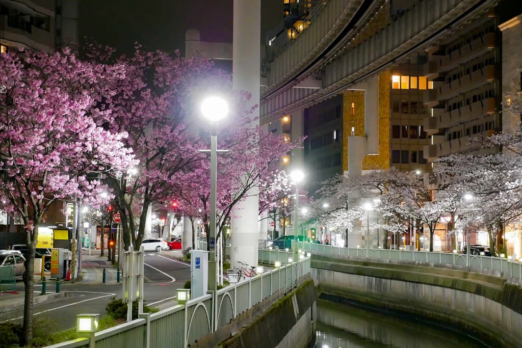 千葉栄町　ソープランド街　ベガスの近く　葭川　桜　夜景