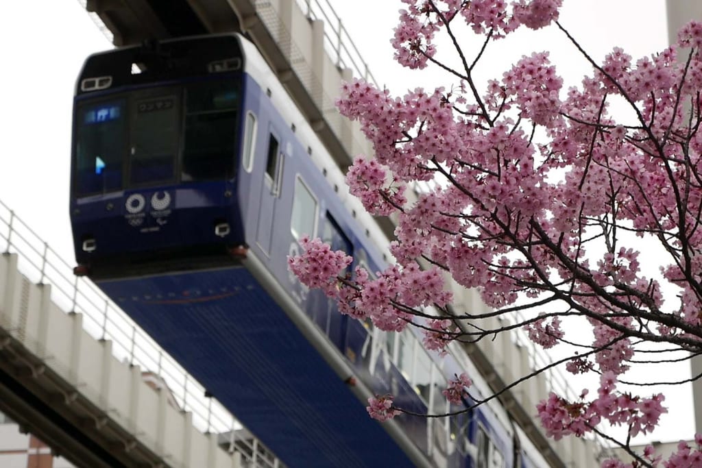 千葉栄町　ソープランド街　ベガスの近く　葭川　桜　モノレール